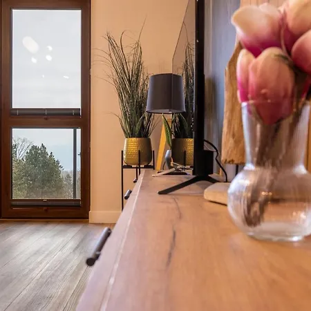 Park A11- Z Dostepem Do Basenu, Sauny, Jacuzzi, Silowni Apartment *